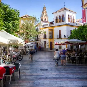 La Casa De La Musica , Cordova Spagna